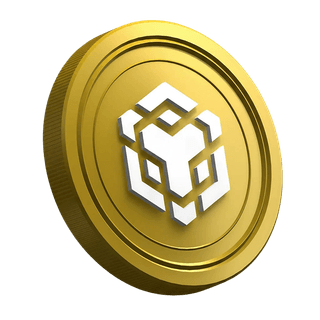 Página do guia para traders iniciantes exibindo a criptomoeda BNB